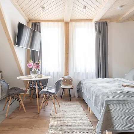 Apartamenty Villowe - Zakopane Centrum Eksteriør bilde